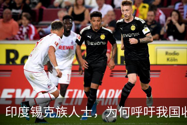 印度锡克族人士，为何呼吁我国收复藏南，还想里应外合？