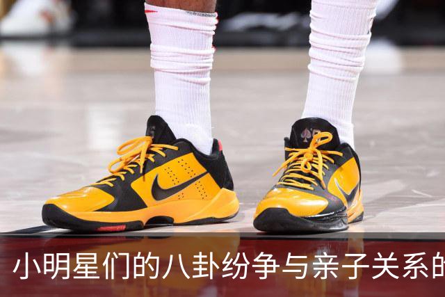 小明星们的八卦纷争与亲子关系的尴尬舞台
